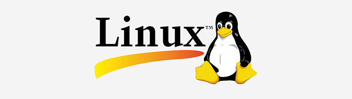 Featured image of post linux命令